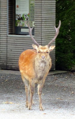 Klicken für Bild in voller Größe