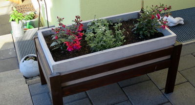 Klicken für Bild in voller Größe