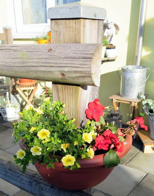 Klicken für Bild in voller Größe