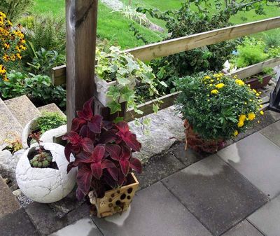 Klicken für Bild in voller Größe