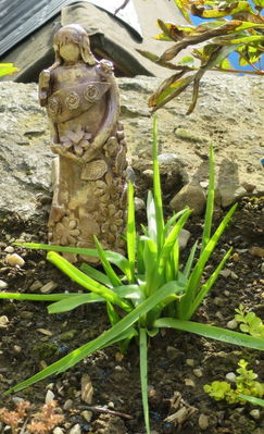 Klicken für Bild in voller Größe